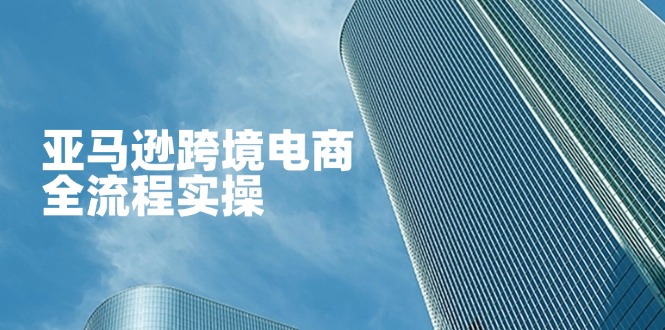 （14252期）亚马逊跨境电商全流程实操，教你从零开始，掌握店铺运营与广告技巧-星空知识库