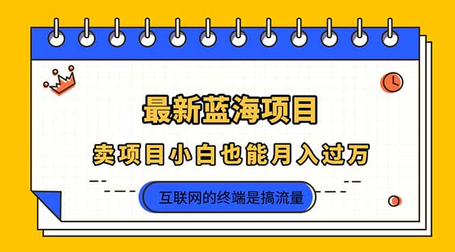 （14289期）2025年最新蓝海项目，卖项目小白也能月入过万-星空知识库